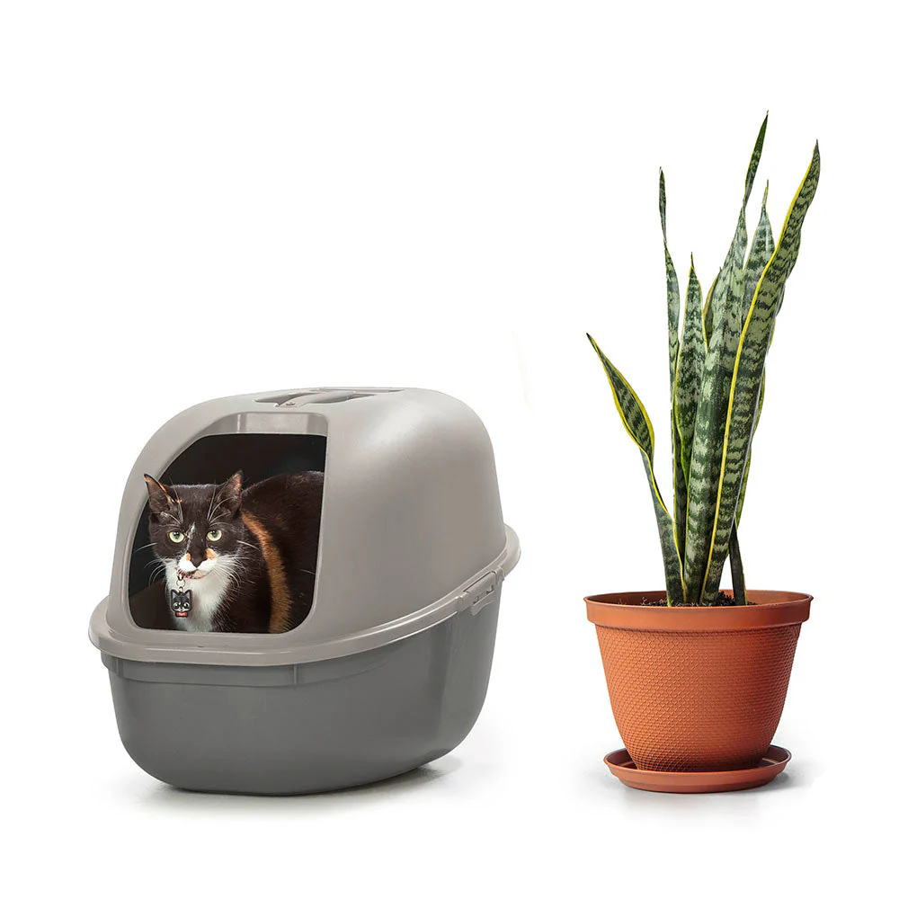 Arenero para Gato Gris - Image 6