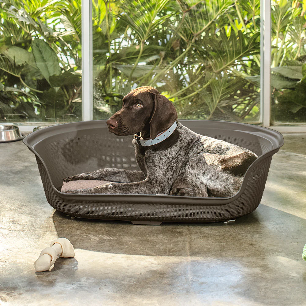 Cama para Perro Mocca - Image 2