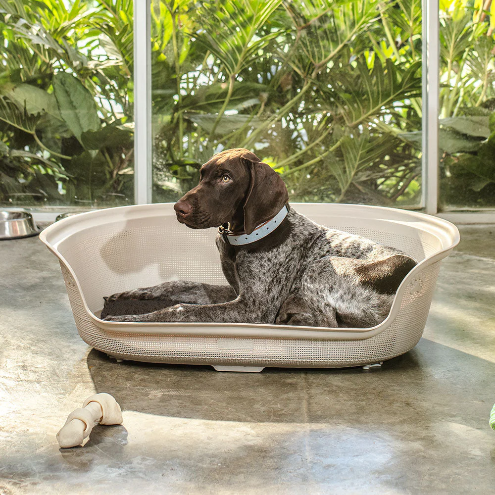 Cama para Perro Taupe - Image 3