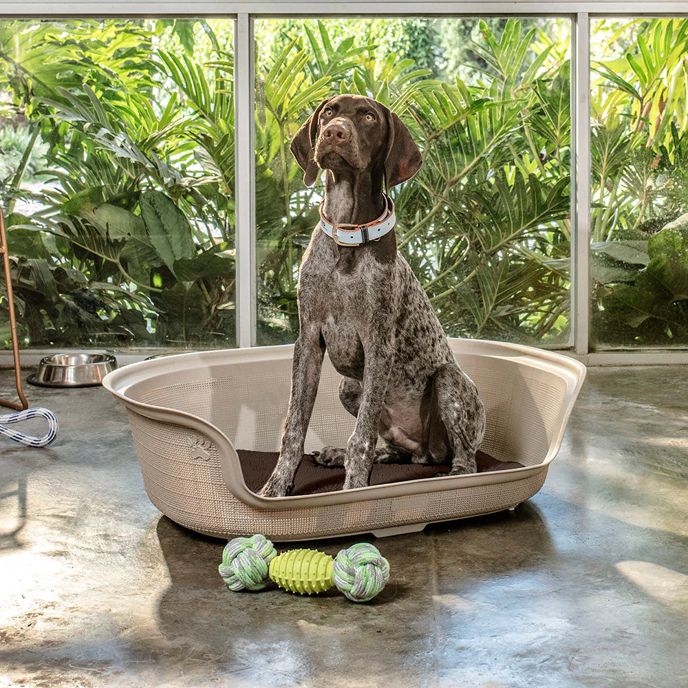 Cama para Perro Taupe - Image 4