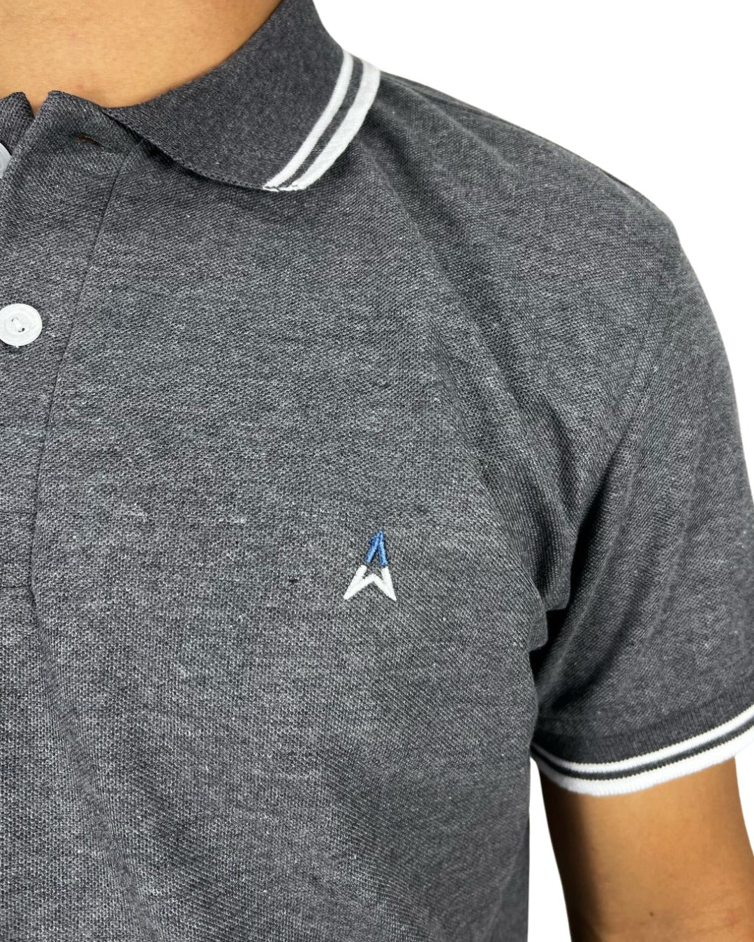 CAMISETA POLO M/C PP-2016 - Image 19