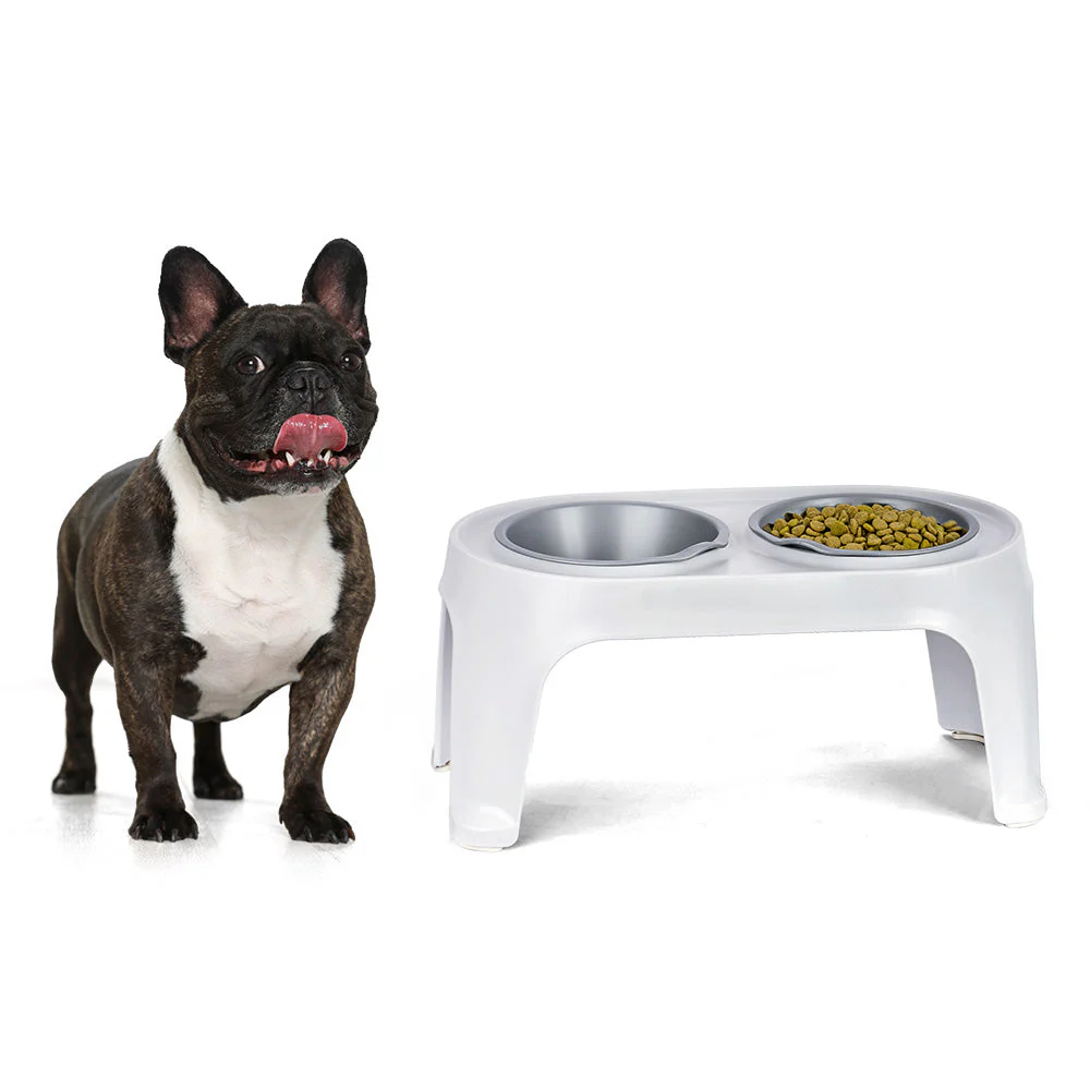Comedero Alto para Perros Medium Gris Hielo - Image 2