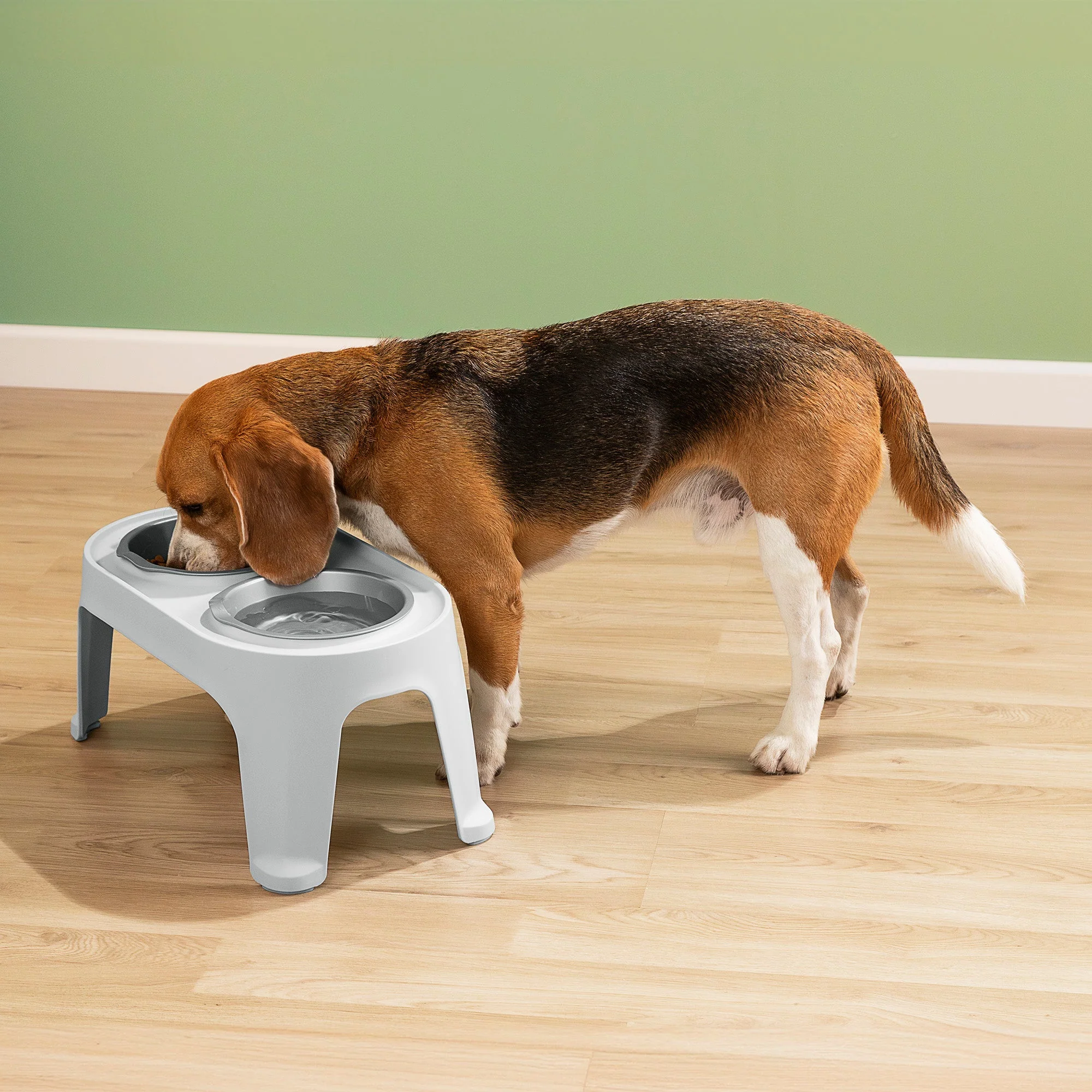 Comedero Alto para Perros Medium Gris Hielo - Image 5