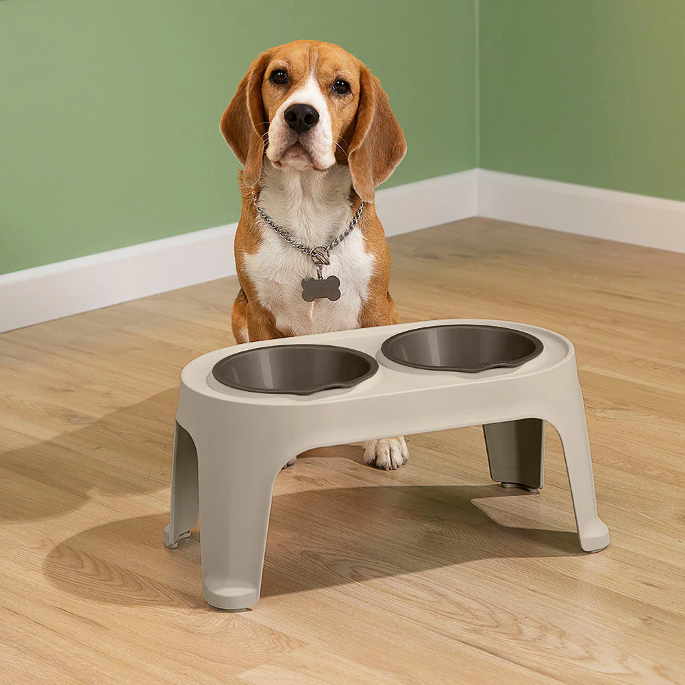 Comedero Alto para Perros Medium Taupe - Image 4