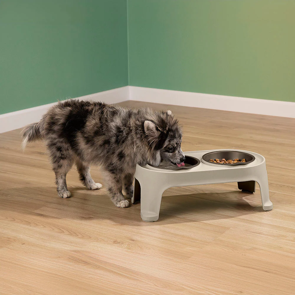 Comedero Alto para Perros Small Taupe - Image 5