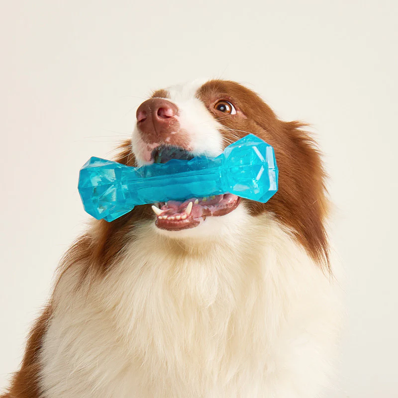 JUGUETE PARA PERRO HUESO REFRESCANTE - Image 3