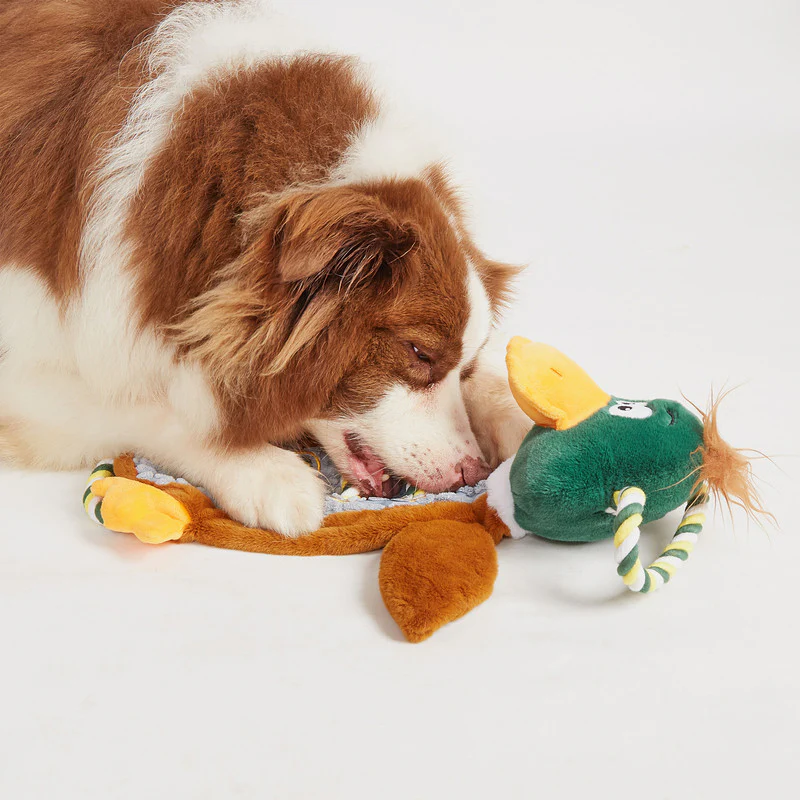 JUGUETE PARA PERROS CON FORMA DE PATO - Image 3