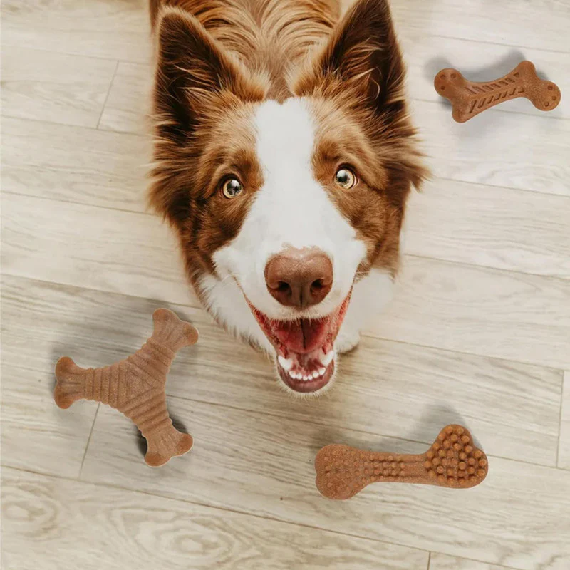 JUGUETES DE FIBRA DE MADERA S/M DOG