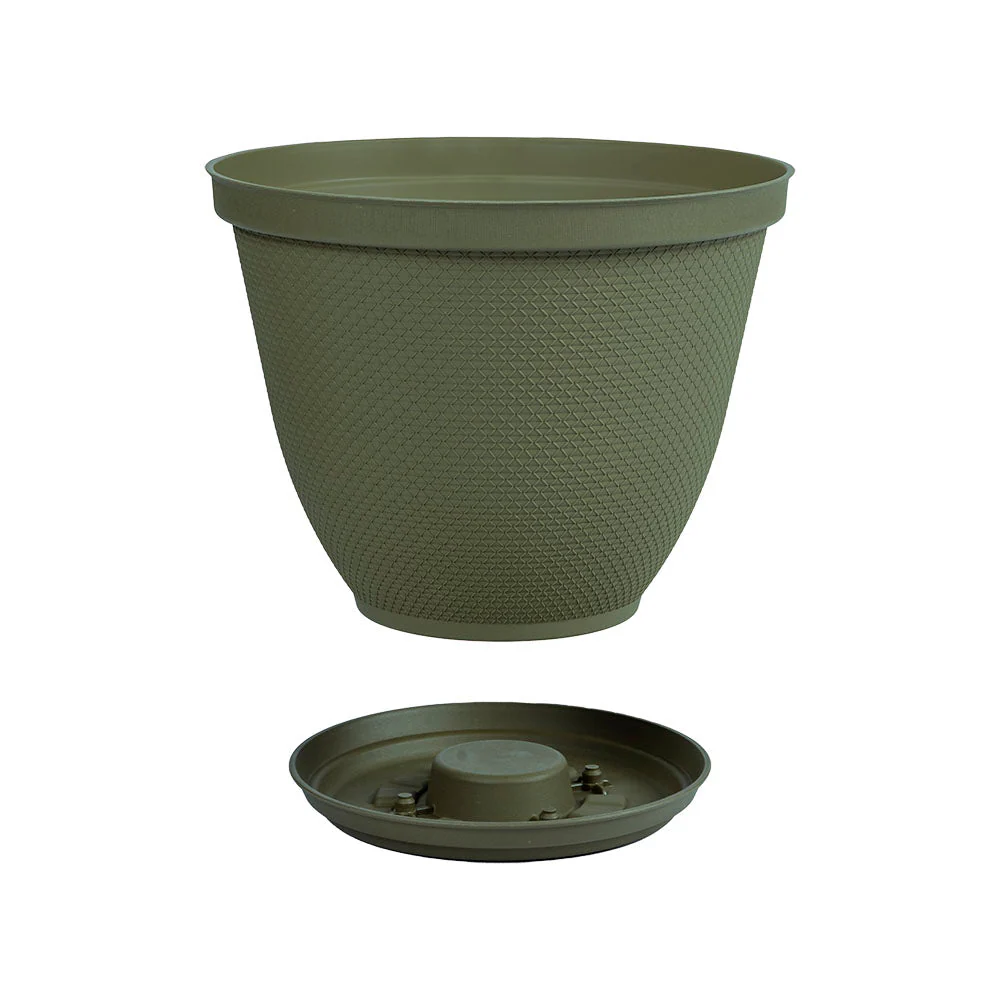 Matera Redonda Rafia 25 Cm con Plato Verde Musgo - Image 2