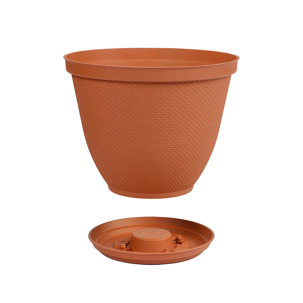 Matera Redonda Rafia 30 Cm con Plato Terracota - Image 2